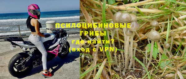 прущая мука Алексеевка
