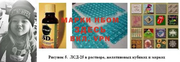 трава Новозыбков