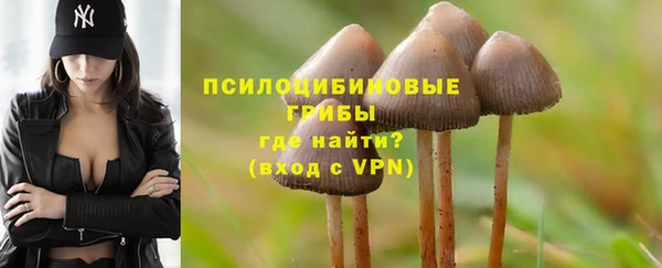 каннабис Алзамай