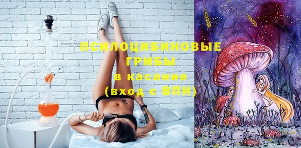 гидропоника Новокубанск