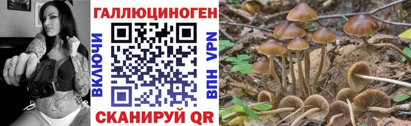 OMG маркетплейс  Могоча  Галлюциногенные грибы мицелий  где можно купить  